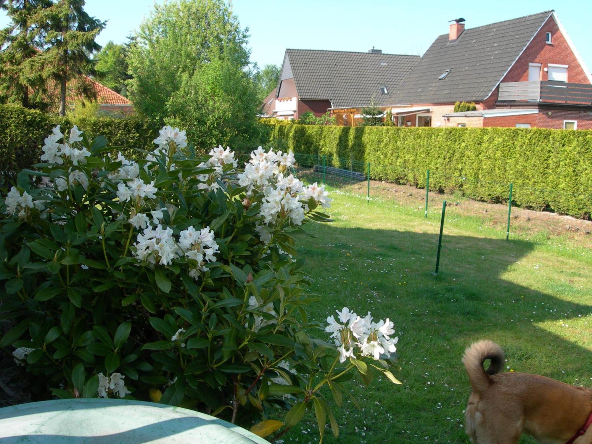 Appartements Krueger Hage Esterno foto